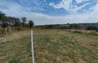 Vand casa 3 camere in Chesint ID:RH-41260-property - 5