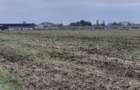 Teren vecinatate Therme,34500 euro - 11