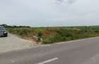 Vand teren Mariuta - Belciugatele-1000mp - Intravilan - 19€/mp-Direct Proprietar - 6