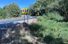 Vand teren in padure zona Hula Bradului - 10
