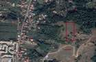 Vand Teren in Curtea de Arges suprafata 5000mp - 5