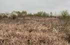 Vand Teren comuna Pischia sat Bececu de jos