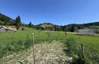 De vanzare | Teren intravilan 7620mp | Vitoria Lipan | Borca| Neamt - 1