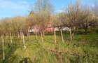 Proprietate de vanzare - 13