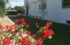 Spatiu de inchiriat, 4 camere open space , langa padure - 4