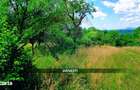 Teren intravilan 6115mp | Danesti, Maramures | Oportunitate investitie - 4