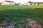 Teren 1381 mp intravilan Cristian jud Brasov - 3