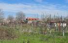Proprietar vand teren intravilan in satul Runcu comuna Dascalu - 7