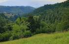 Teren de 7200 mp, în Peștera - 6