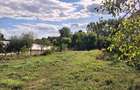 Proprietar Teren 1842 mp cu deschidere la Lacul Snagov + Casă Renovată - 2