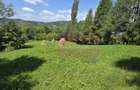 Teren intravilan 3159 mp de vanzare in Comarnic - 1