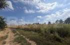 Teren extravilan, 9000 mp, zona Nusfalau