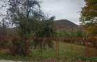 Teren intravilan 2500mp Criscior