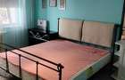 Apartament renovat mobilat si utilat zona Stadion - 5