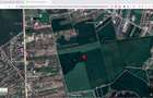 Teren intravilan 18.200 mp Saftica Balotesti