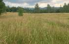 Vanzare teren intravilan 9200 mp - 3