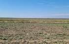 Teren agricol centura Buzia?, 1.14ha - 1