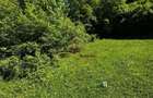 Teren intravilan de vanzare 1439 mp Luncani strada Slatin... - 9