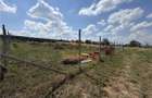 Teren Intravilan 586 Mp | Zona Paleu | Bihor - 4
