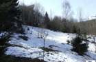 Teren situat in Predeal - 4