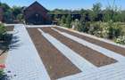 Vand Casa P+1 sau schimb cu Apartament in Oras - 4