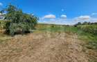 Casa de vanzare in Unirea, cu teren de 2.901 mp - 11
