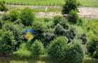 Teren intravilan de 750 mp, în Alexandru cel Bun - 22
