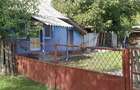 Casă cu 5 camere în Canlia - 2