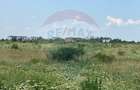 Teren intravilan de 600 mp, în Sisești - 14