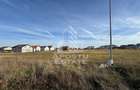 Teren Construcții intravilan de 600 mp, în Moșnița Nouă - 1 Teren Construcții intravilan de 600 mp, în Moșnița Nouă - 1