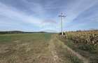 Teren agricol extravilan de 11300 mp, în Bonțida - 4
