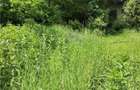 Domeniu verde autentic, +5.000mp, front la DJ, Valcele, Brasov -- Cov - 12