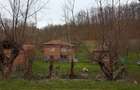 Casa + teren de vanzare, sat Poieni, comuna Densus, Hunedoara - 8