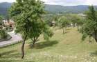 Rucar, teren intravilan 3214 mp cu deschidere 56 m in DN73 - 9