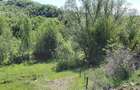 Teren intravilan de 5850 mp, în Crușovița - 7