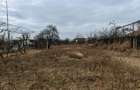 Teren constructii langa oras, Letea-Veche - 2