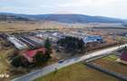 Teren intravilan in sat Zapodia, com. Traian, jud. Bacau, 39.600mp, - 6