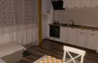 Apartament 2 camere Damila-Capsunarie - 4
