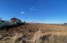 Teren Construcții intravilan de 8100 mp, în Ciolpani - 4