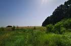 Teren, 8950 mp, langa padure, Intravilan, Magurele, strada Tangentei - 3