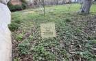 Casa individuala 180 mp utili cu teren 900 mp in Parcul Sub Arini - 3