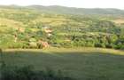 Teren Barsau - Harau - 1