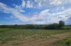 Teren de 12000 mp, în Pădureni (Șendriceni) - 7