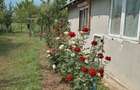Vand casa cu teren 1500 mp intimitate totala Comuna Berceni, sat Catunu (Prahova) - 1