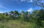 Teren extravilan de vanzare, 6000 mp, zona Hateg - 3