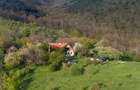 Casa in locatie exclusiva, cu vedere spectaculoasa la Dunare si 6 hectare de teren - 10