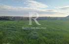Casa cu 3 camere | Rontau | Oradea - 5