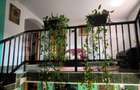 Casa 250 mp utili, 1450 mp teren, zona Balta Verde - 3