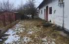 De vanzare sau de inchiriat cladire comerciala situata in Berchiesu - 3