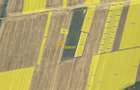 Teren intravilan Snagov / Tancabesti / 3.293 mp / D: 36.57 m / comision 0%
